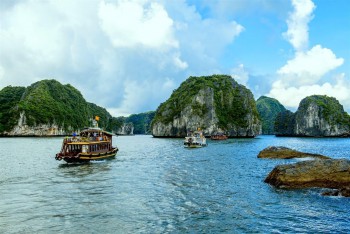 Tour nửa ngày thăm quan Làng Chài - Hòn Rùa - Lan Hạ - Tháp Nghiêng